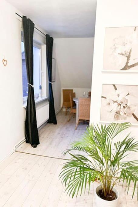 Modernes Apartment Mit Balkon Free Parking Netflix Целе Екстериор снимка