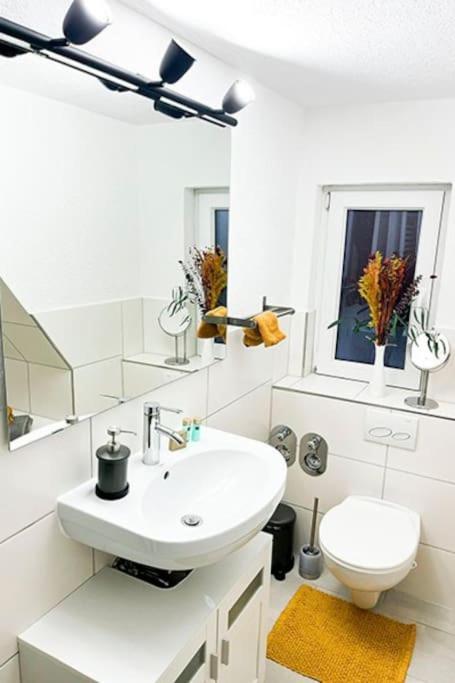 Modernes Apartment Mit Balkon Free Parking Netflix Целе Екстериор снимка